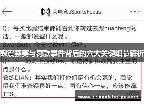 魏震禁赛与罚款事件背后的六大关键细节解析